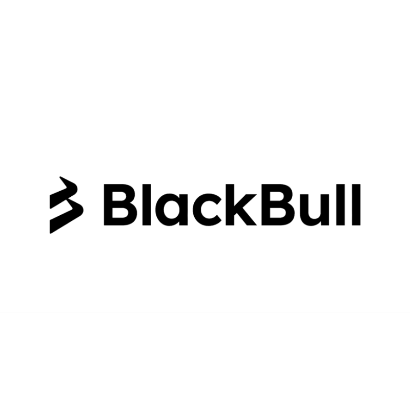 TheForexs.com - Black Bull Markets Logo